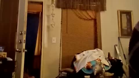 boredaf6678 online show from 11.22.25