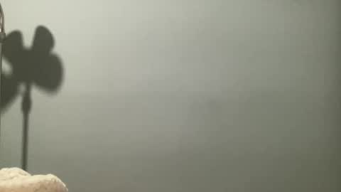 boselythornton1 online show from 03.29.26