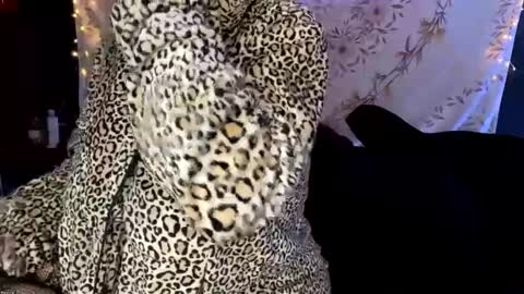 Snapshot of bossmomma chatting on 12.13.24 BossMom online show from 12.13.24