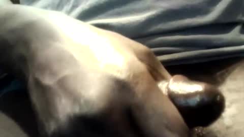 Snapshot of botofogo chatting on 10.12.25 botofogo online show from 10.12.25