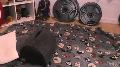 Pumpkin Butt online show from 04.10.26