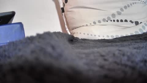 boy3911 online show from 02.11.25