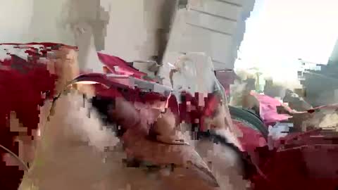 brad2518181 online show from 02.21.25