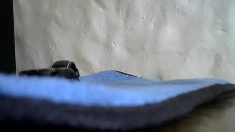 Snapshot of brad2717 chatting on 12.18.24 brad2717 online show from 12.18.24