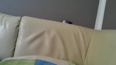 Snapshot of bramer8787 chatting on 02.09.25 bramer8787 online show from 02.09.25