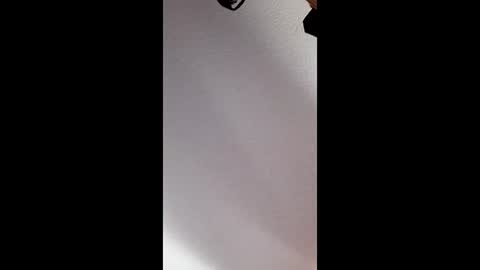 brandon281997 online show from 04.17.26