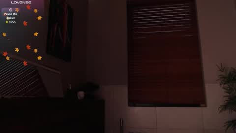 brandon_starkk online show from 02.23.26