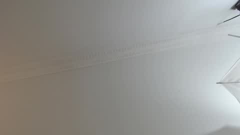 BrandonCole online show from 02.10.25