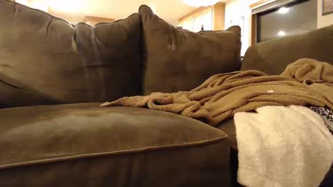 Snapshot of brandondot chatting on 02.03.25 brandondot online show from 02.03.25