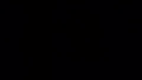 brazilaveaux online show from 02.01.26