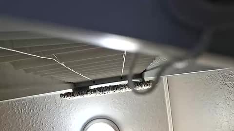 Snapshot of breeze316 chatting on 11.06.25 breeze316 online show from 11.06.25