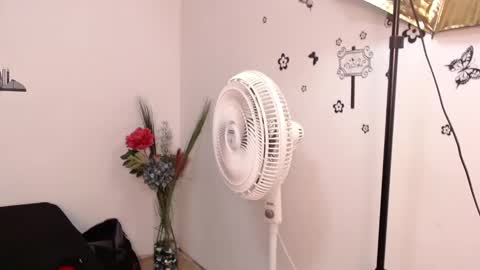 Snapshot of brenda_maz chatting on 01.29.25 Brenda  online show from 01.29.25