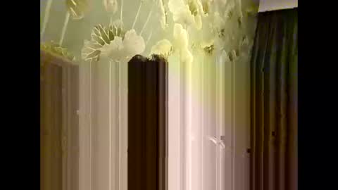bridgeedude28 online show from 05.24.26