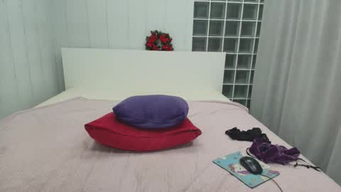 Snapshot of brightly_heizer chatting on 01.17.26 Heather online show from 01.17.26