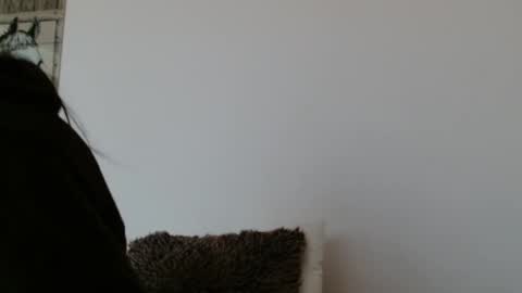 Snapshot of brigittebia777 chatting on 10.24.25 brigittebia777 online show from 10.24.25