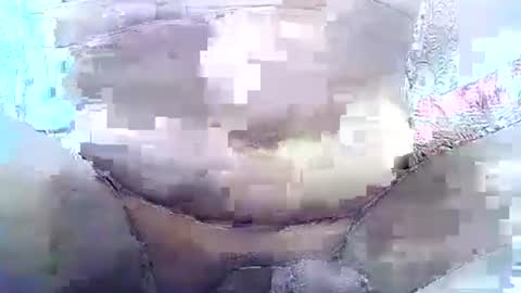 Snapshot of brilliant7 chatting on 11.02.25 Josh online show from 11.02.25