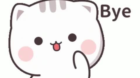 Emily online show from 01.22.25