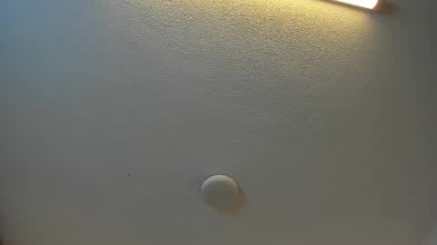 Brittany  online show from 09.27.25