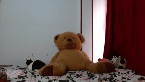 maru miaw   Please help me to reach 100 thumbs up online show from 11.12.25