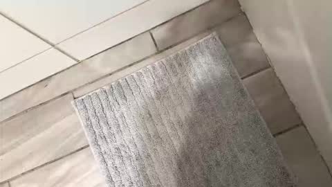 Snapshot of brownboyli chatting on 03.02.26 brownboyli online show from 03.02.26