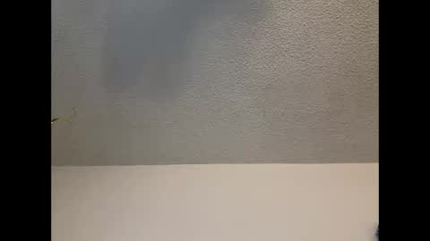 EtherealLilac online show from 02.11.25