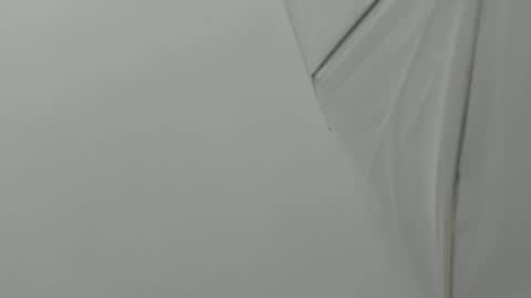 Snapshot of bruno_bellini chatting on 11.23.25 Bruno Bellini online show from 11.23.25