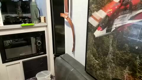 Steve... aka SkinnieDippin aka TimberTramp online show from 02.21.25