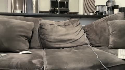 Snapshot of brwm2013 chatting on 01.12.25 brwm2013 online show from 01.12.25