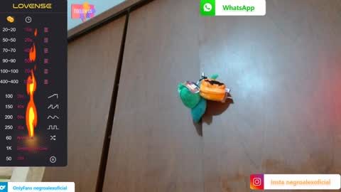 Enjoy the best muscle straws   online show from 01.27.25