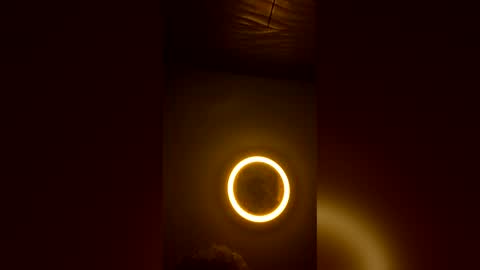 brychops online show from 04.16.26