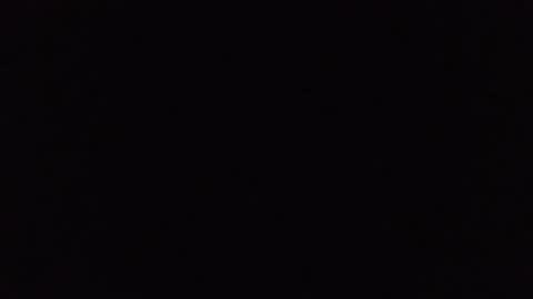 Buck Wessle online show from 10.24.25