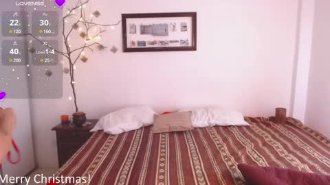 Snapshot of buckwheat_queen chatting on 12.25.24 Mira online show from 12.25.24