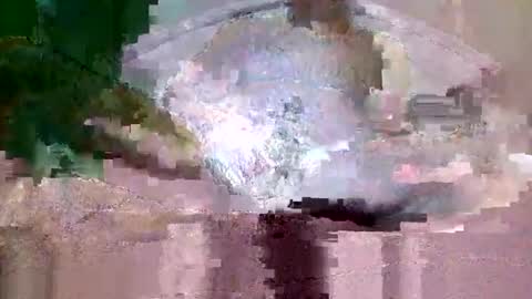 buffsurgeon1 online show from 09.08.25