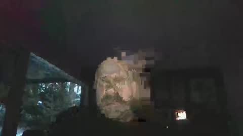 Snapshot of bulldog302w chatting on 02.02.26 bulldog302w online show from 02.02.26