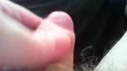 bullemoe online show from 11.04.25