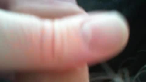 bullemoe online show from 03.09.26