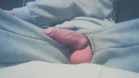 Dutch cock online show from 01.09.25