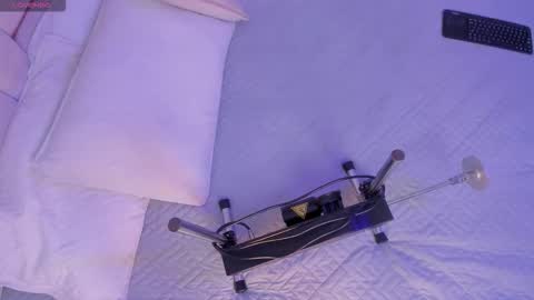 bunny_blush1 online show from 03.30.26