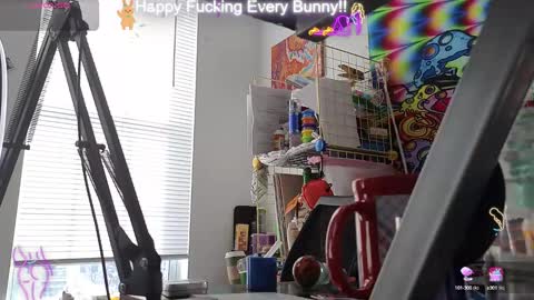 Tokki  bunny  online show from 01.16.25