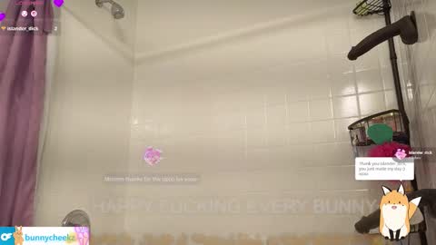 Tokki  bunny  online show from 02.02.26