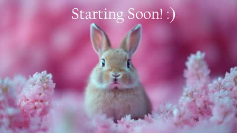 Snapshot of bunnydollstella chatting on 06.05.26 Stella online show from 06.05.26