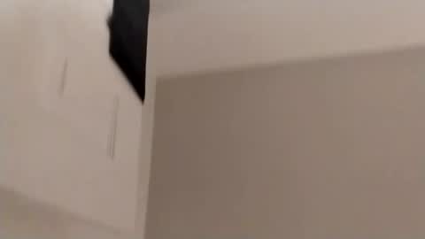 BunnyXPurry online show from 11.15.25