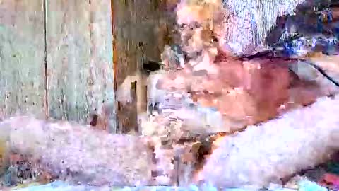 Snapshot of burnzart chatting on 09.22.25 burnzart online show from 09.22.25