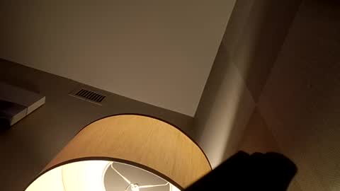 bushdoctor1 online show from 12.02.24