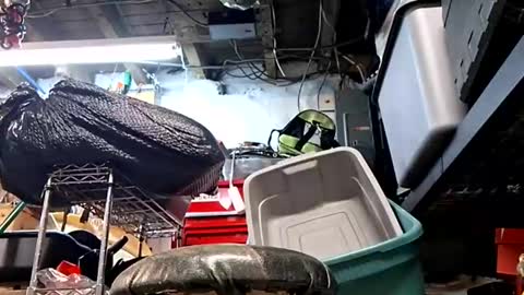 bushdoctor1 online show from 09.10.25