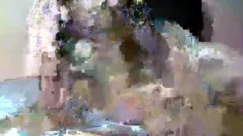 butler_yung online show from 05.12.26