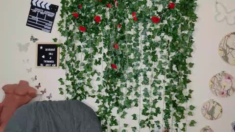 butterfly booty online show from 11.03.25