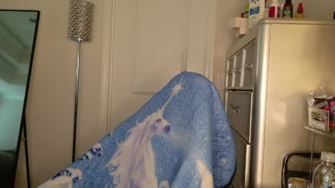 butterfly booty online show from 03.30.26