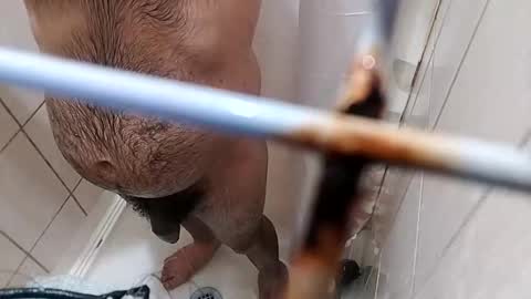 Snapshot of bxpapi69 chatting on 11.10.25 bxpapi69 online show from 11.10.25