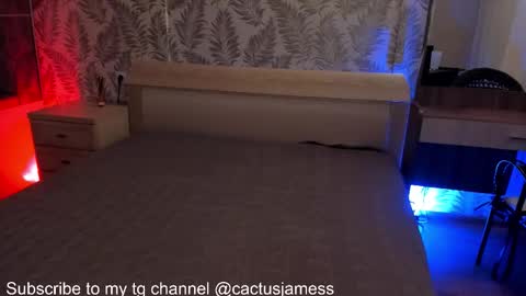 Snapshot of cactusjames_69 chatting on 10.15.25 James online show from 10.15.25